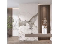 案例展示-玄关